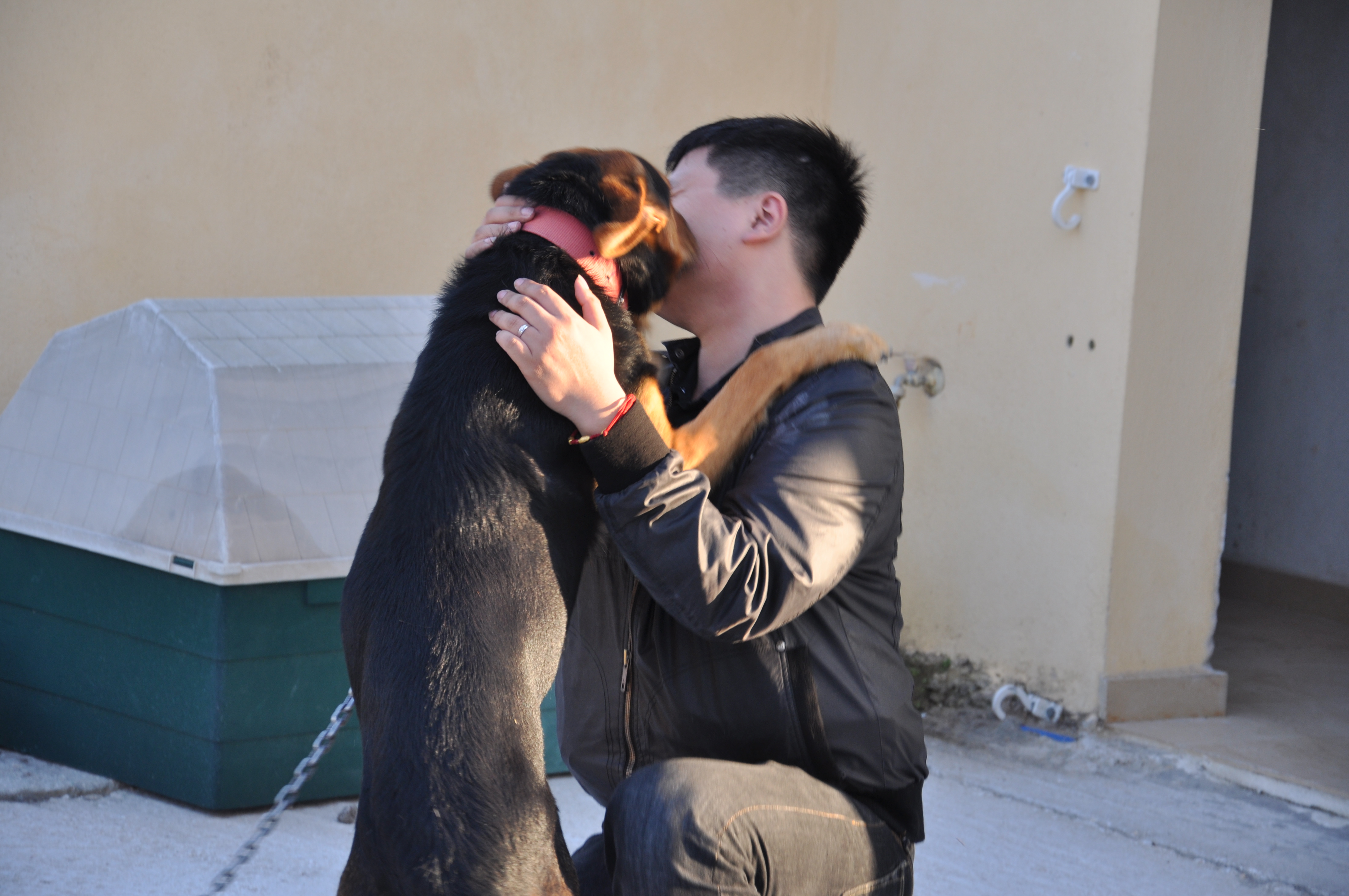 疯狂的狗^_^大概被锁起来了太久没人陪他玩了 圣托里尼